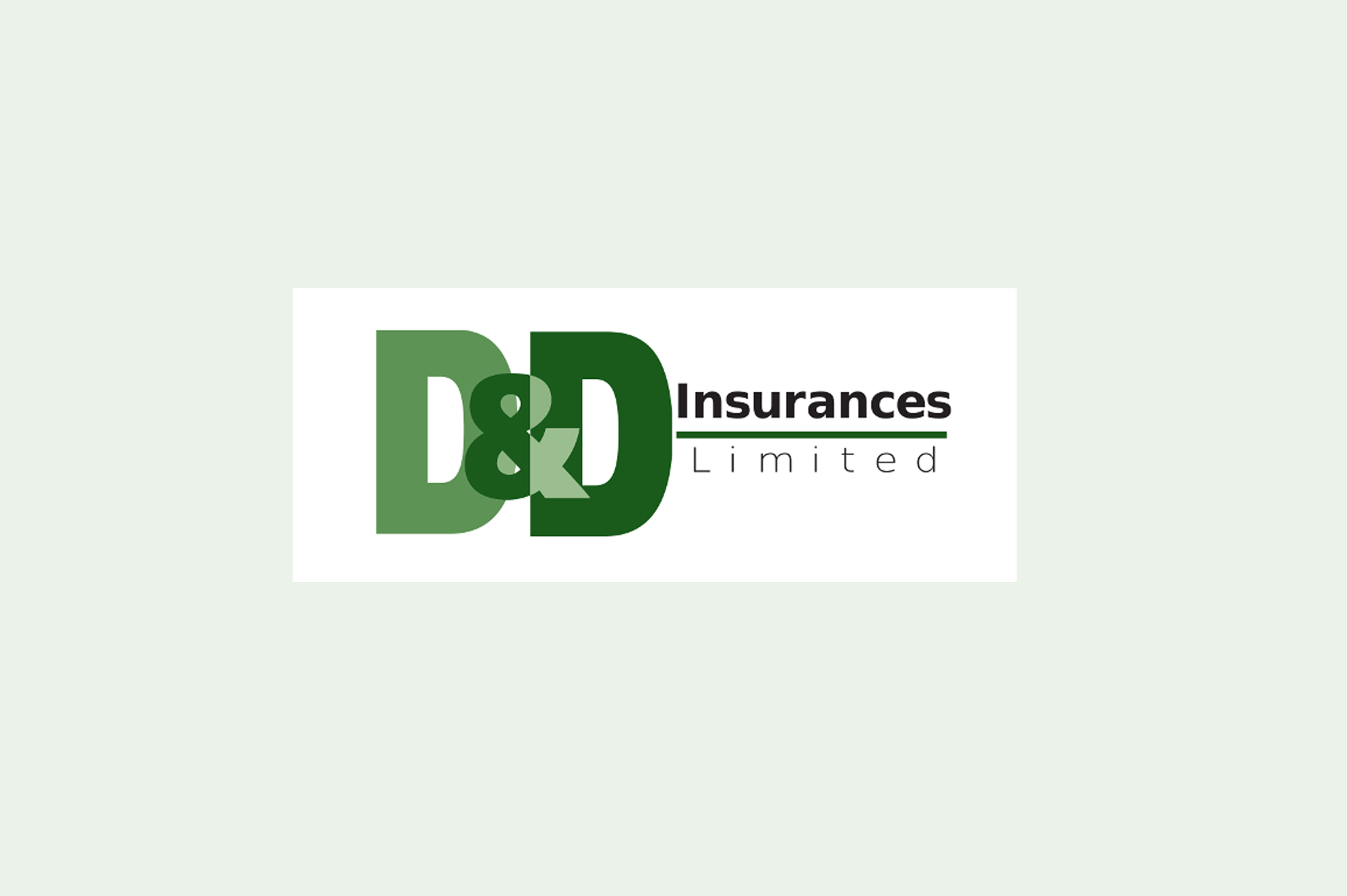 D&D insurances