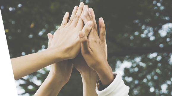 charity insurance